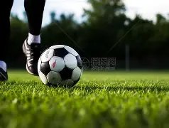 巅峰对决,王者归来,王楚钦,皇冠体育,皇冠中国,皇冠最新平台,皇冠Crown,Sports,皇冠APP下载