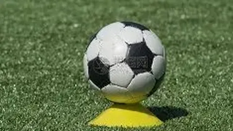 皇冠体育 资讯 095521 shp