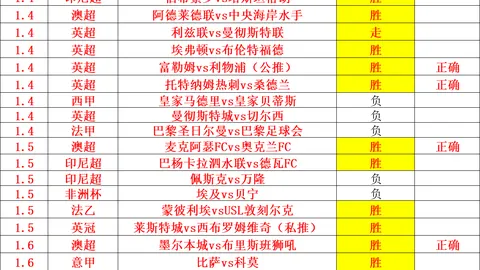 [NBA]4月28日季后赛精彩对决：约基奇表现集锦